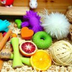 Hamster chew toys